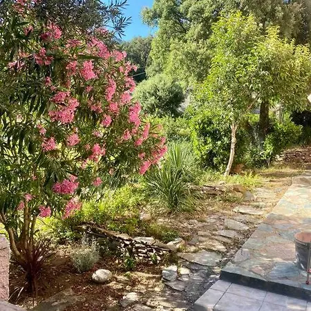 Bas De T3 Sur Maria Di Lota Santa-Maria-di-Lota